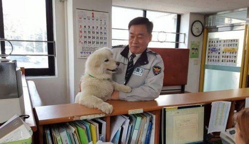 옥구 지구대의 강아지.jpg
