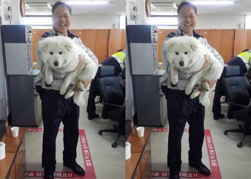 옥구 지구대의 강아지.jpg