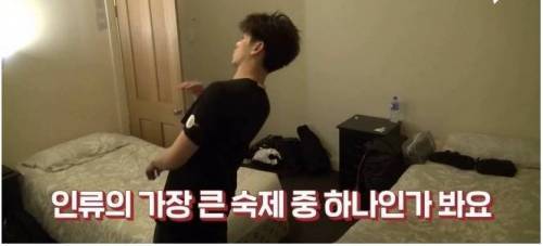 [스압] 모기가 지구상에서 가장 위험한 동물인 이유