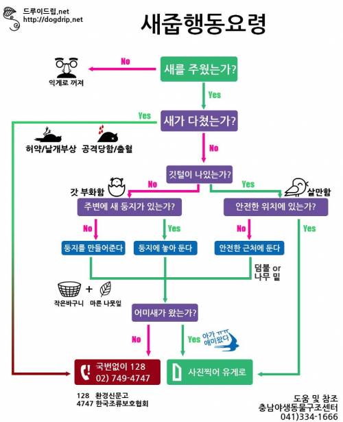 새줍행동요령.jpg