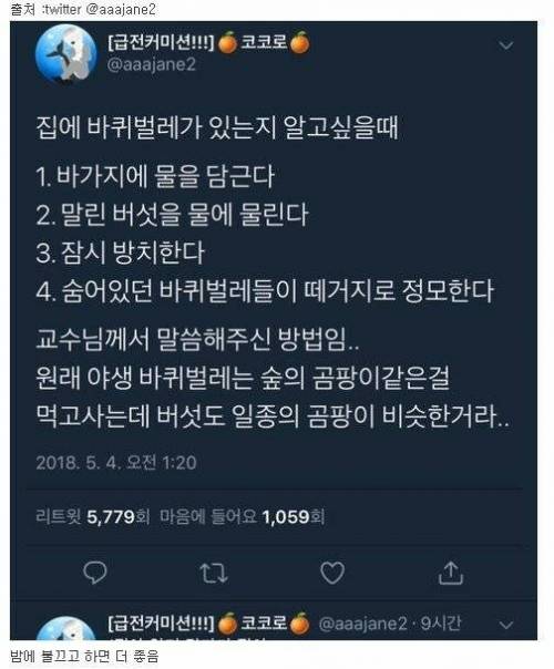 집에 바퀴벌레가 있는지 확인하려면?.jpg