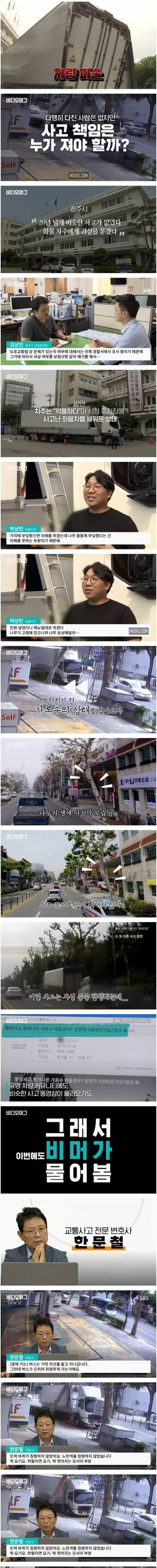 [스압] 도로에 튀어나온 가로수와 부딪히면 누구 책임?