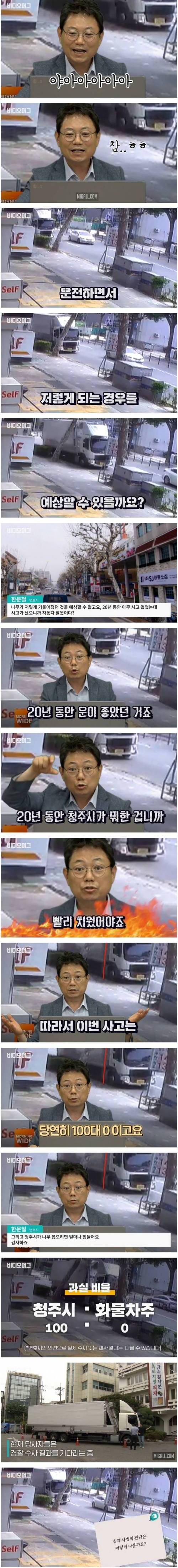 [스압] 도로에 튀어나온 가로수와 부딪히면 누구 책임?