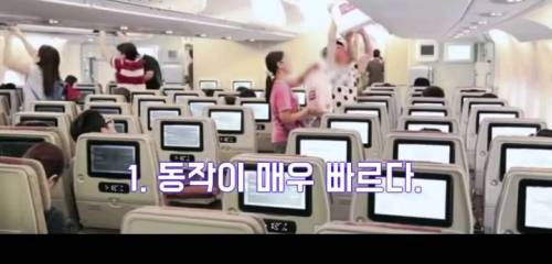외국 승무원이 한국인이 특이하다고 하는이유 3가지.jpg