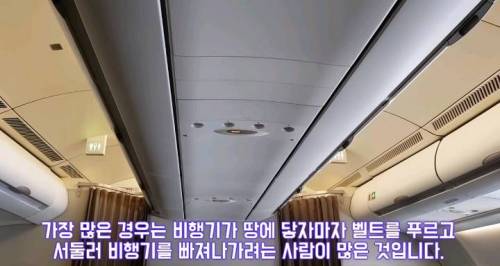 외국 승무원이 한국인이 특이하다고 하는이유 3가지.jpg