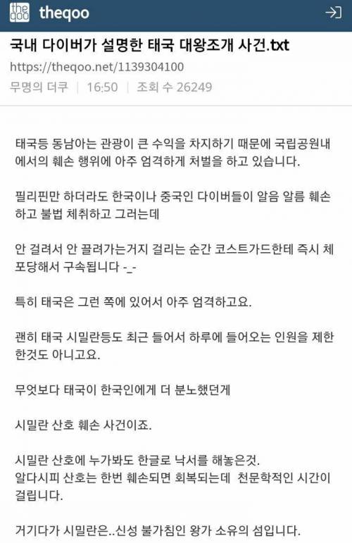 국내 다이버가 보는 대왕조개 사건