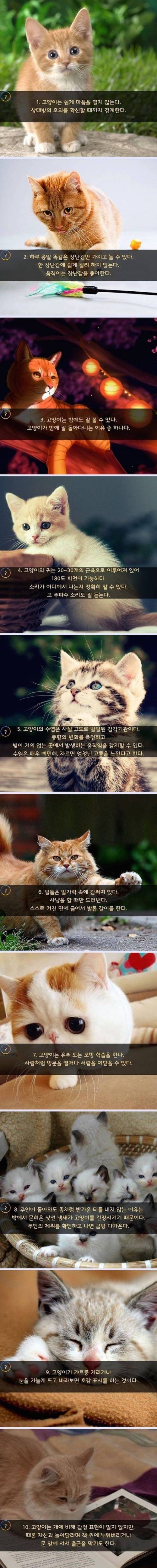 [스압] 떼껄룩에 대한 20가지 상식.jpg