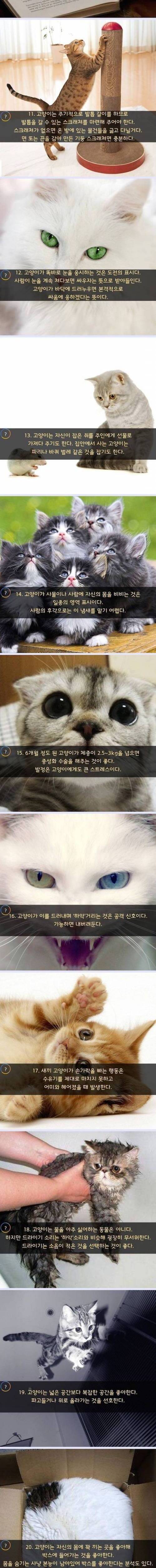 [스압] 떼껄룩에 대한 20가지 상식.jpg