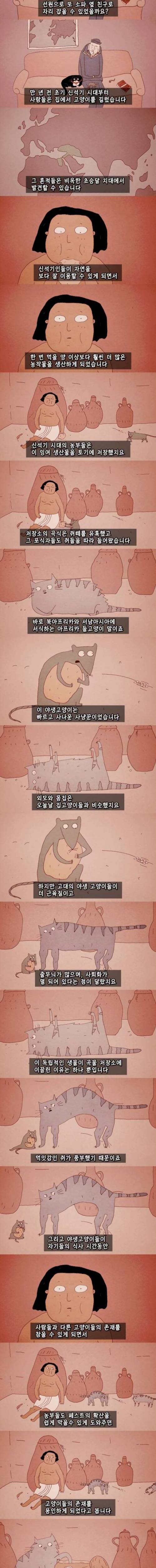 [스압] 고양이의 역사.jpg