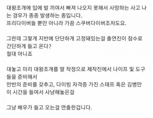 국내 다이버가 보는 대왕조개 사건