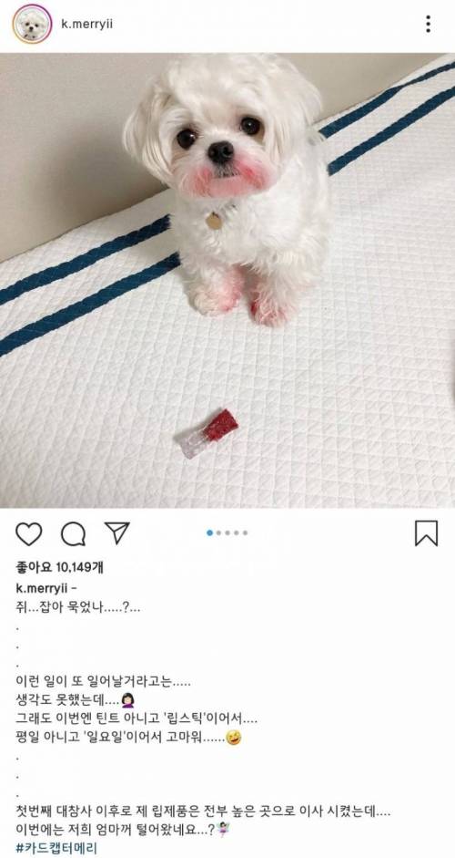 우리 딸 이제 다컸네. 혼자 화장도 다 하고...jpg