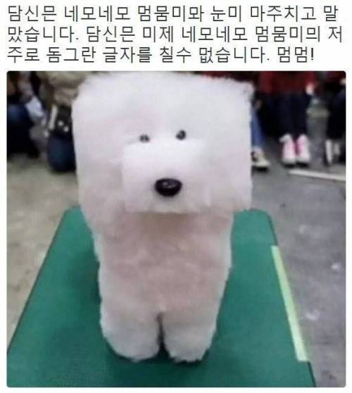 밀본메 밌는 한국머 겸고문.jpg