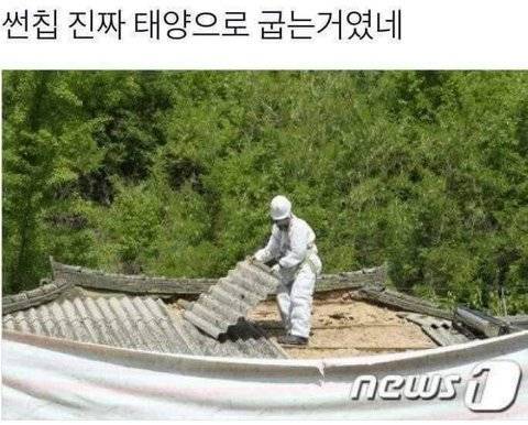 썬칩 제조 현장.jpg