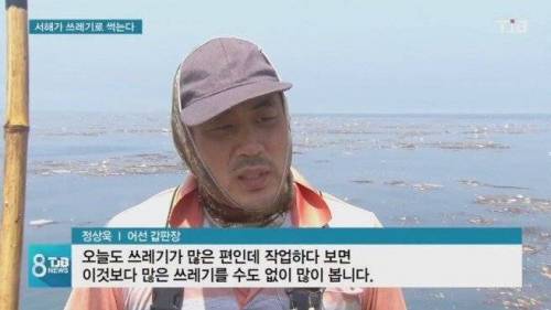 태안 앞바다의 충격적인 현황.jpg