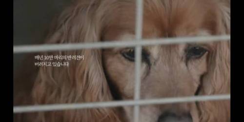 [스압] 유튜브에서 천만뷰 넘은 G마켓 광고.jpg