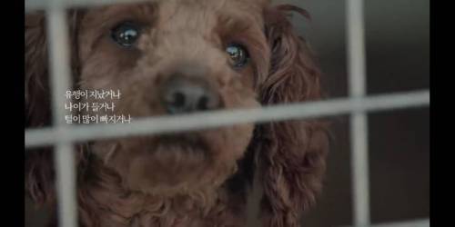 [스압] 유튜브에서 천만뷰 넘은 G마켓 광고.jpg