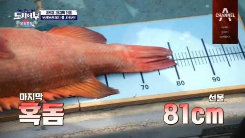 이경규가 낚은 물고기.jpg