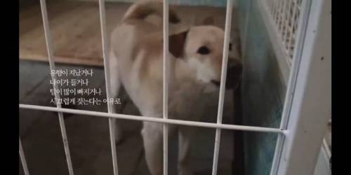 [스압] 유튜브에서 천만뷰 넘은 G마켓 광고.jpg