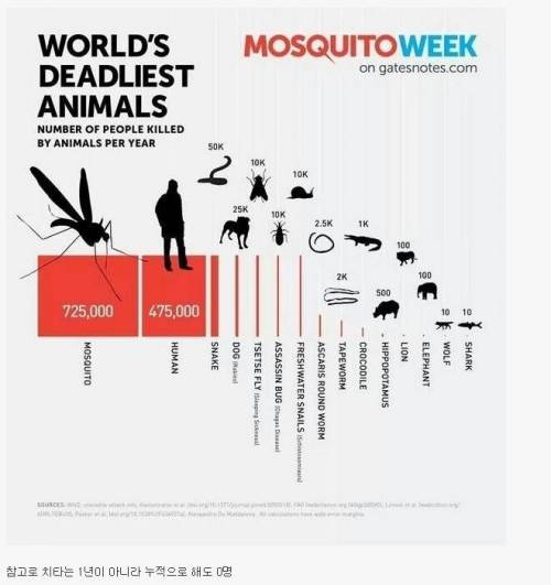 사람을 가장 많이 죽이는 동물.jpg