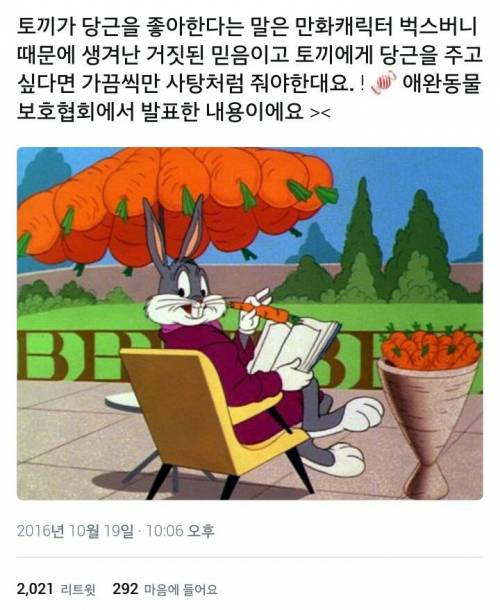 토끼가 당근을 좋아한다는 것은 잘못된 정보임