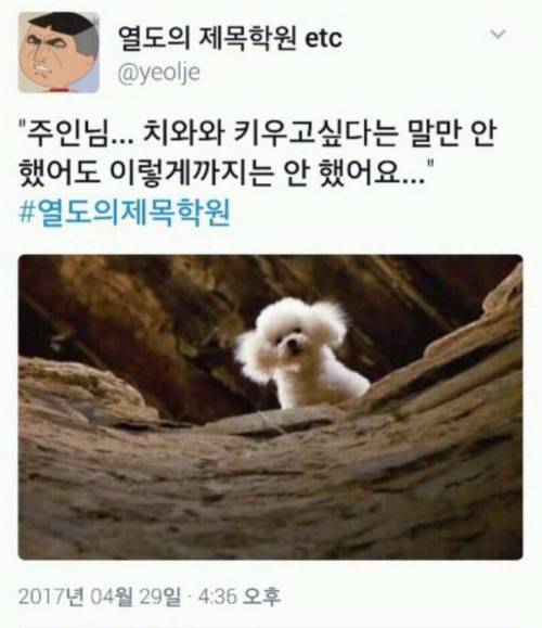 뭐? 뭐가 키우고 싶다구? 다시 말해 봐!.jpg