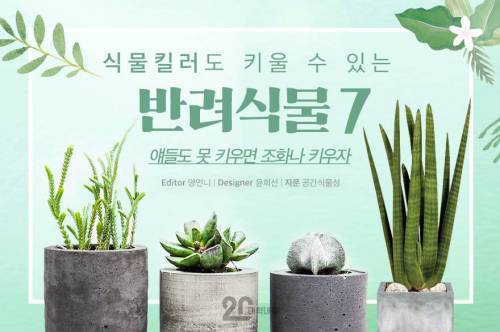 [스압] 식물킬러도 키울 수 있는 반려식물 7.jpg