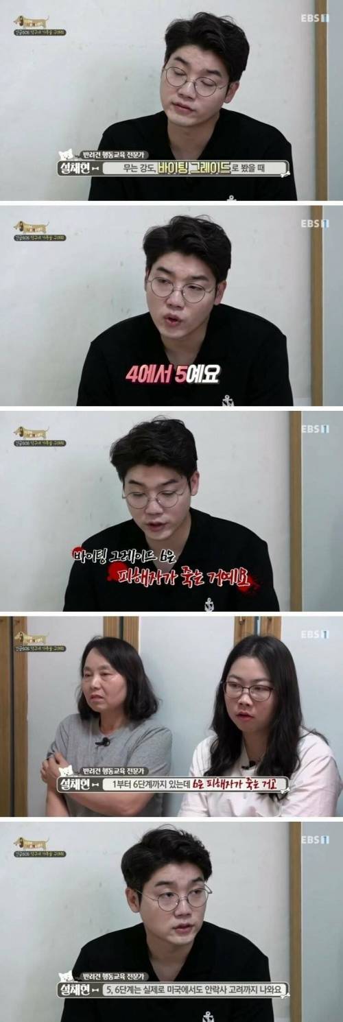 [스압] 촬영 중 개한테 물린 피디.jpg