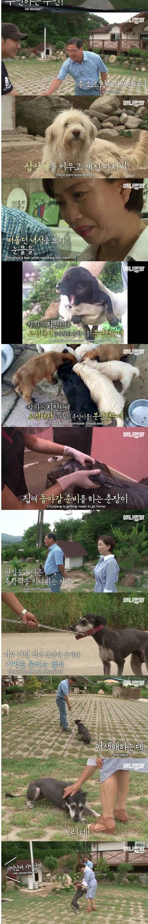 [스압] 버려졌던 강아지 예전 기억나서 신남.jpg