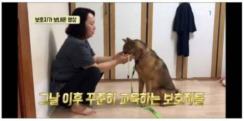 [스압] 촬영 중 개한테 물린 피디.jpg