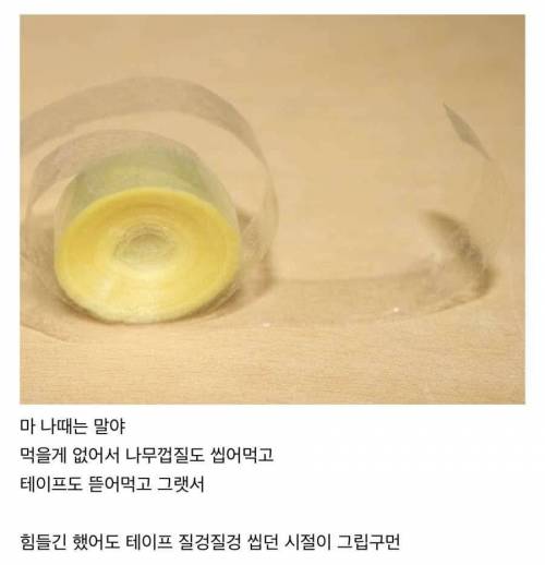 요즘 것들은 배가 불러 터졌지.jpg