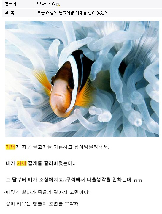 공포의 물고기 갤러리.jpg