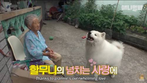 [스압] 90년 차이 우정