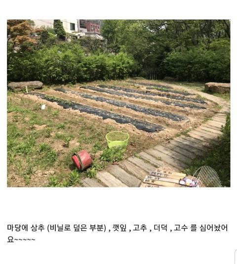 식물갤 대참사.jpg