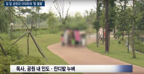 집 앞 공원에 뱀 출몰하는데 환경단체의 해법.jpg