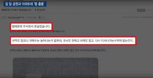 집 앞 공원에 뱀 출몰하는데 환경단체의 해법.jpg