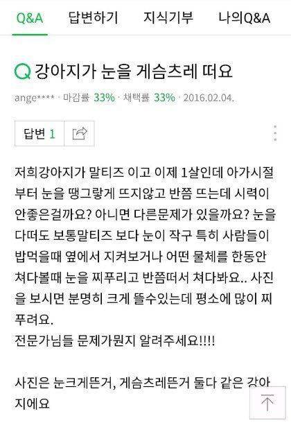 강아지가 눈을 게슴츠레떠요