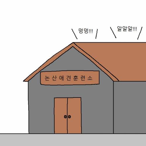 [스압] 자꾸 사고치는 개 훈련시키는 만화.jpg