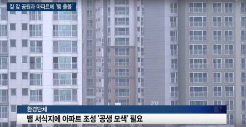 집 앞 공원에 뱀 출몰하는데 환경단체의 해법.jpg