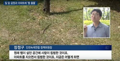 집 앞 공원에 뱀 출몰하는데 환경단체의 해법.jpg