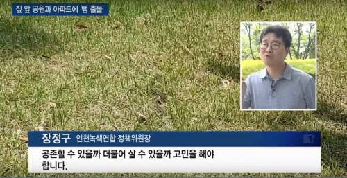 집 앞 공원에 뱀 출몰하는데 환경단체의 해법.jpg