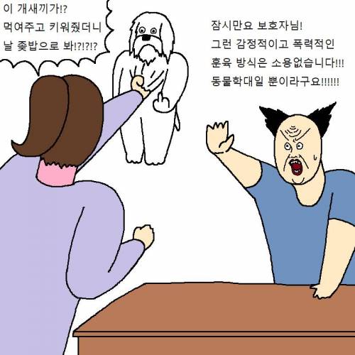 [스압] 자꾸 사고치는 개 훈련시키는 만화.jpg