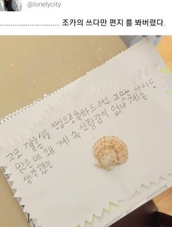 조카의 편지를 봐버렸다..