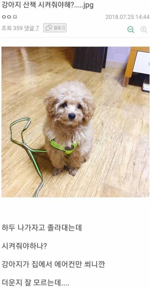 더위를 느끼고 충격받은 멍멍이 .jpg