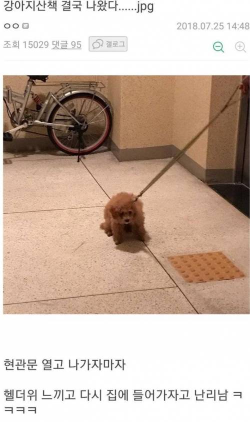 더위를 느끼고 충격받은 멍멍이 .jpg