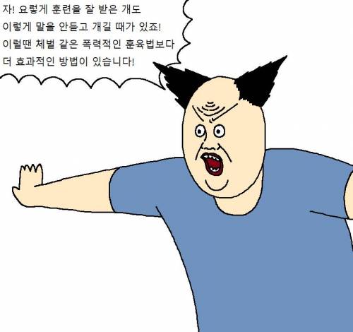 [스압] 자꾸 사고치는 개 훈련시키는 만화.jpg
