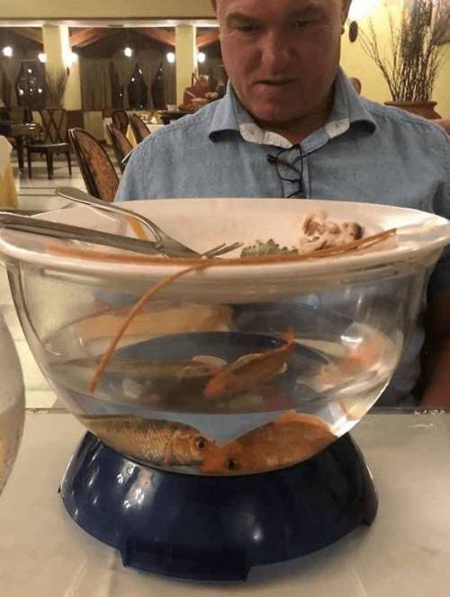 [스압] 백종원이 보면 극대노할 플레이팅