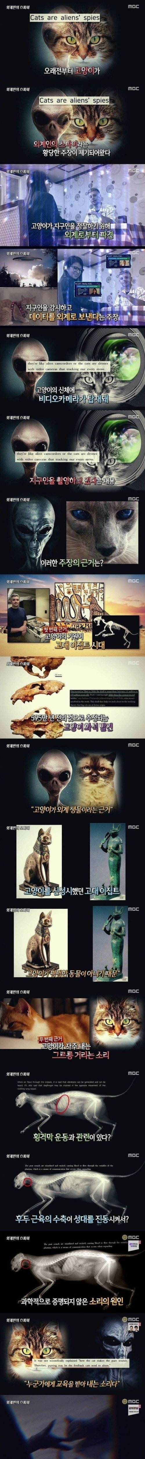 [스압] 외계인의 스파이