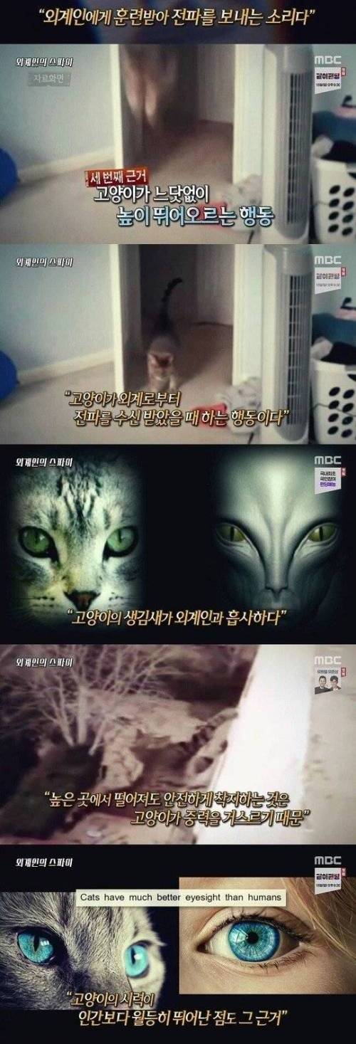 [스압] 외계인의 스파이