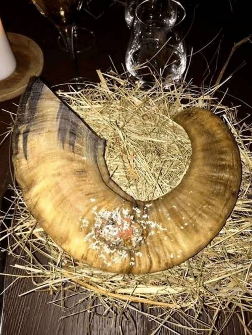 [스압] 백종원이 보면 극대노할 플레이팅