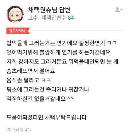 강아지가 눈을 게슴츠레떠요